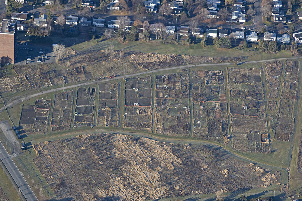 Hot Air Balloon Ride Ottawa 2007 shadow