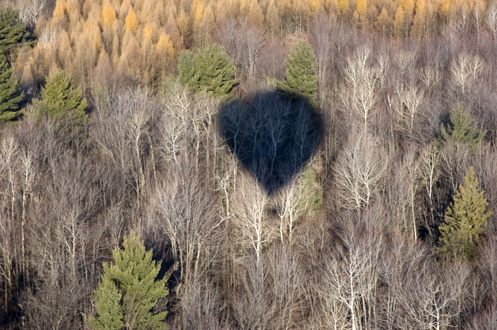 Hot Air Balloon Ride Ottawa 2007 shadow