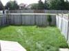 Old backyard