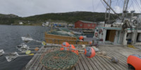 Salvage, Newfoundland